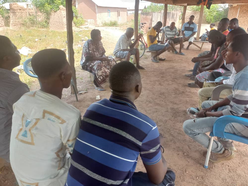 Project Gallery Image 10