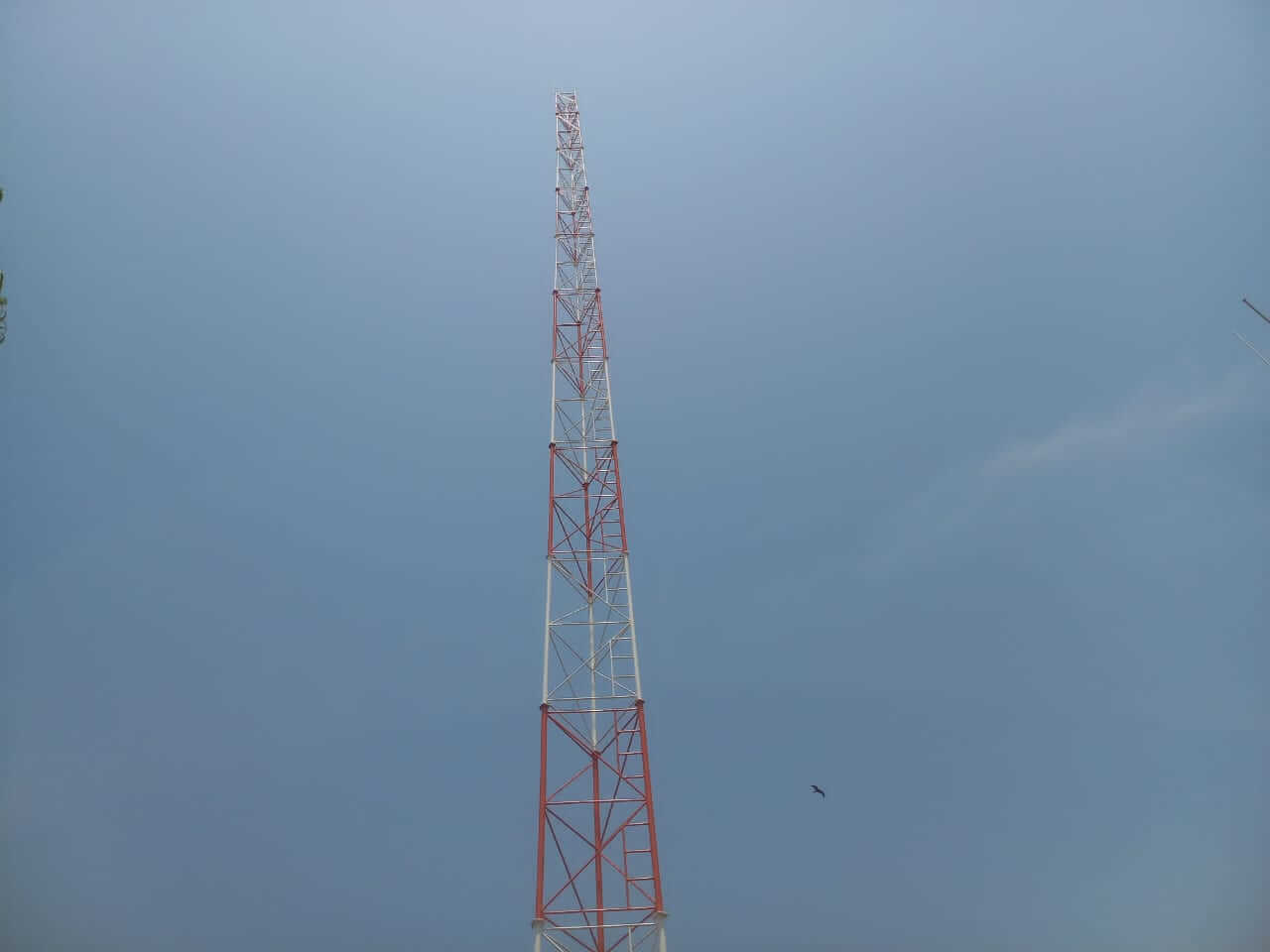 Project Gallery Image 17