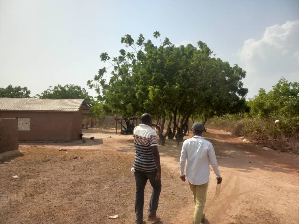 Project Gallery Image 8